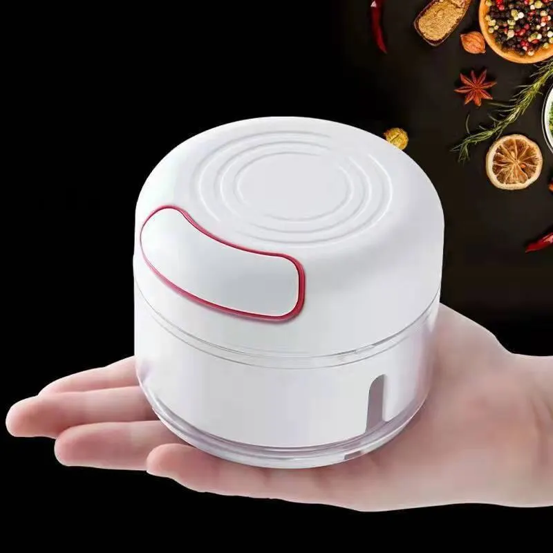Healthy Kitchen Gadgets - Plastic Garlic Crusher Press Vegetable Cutter