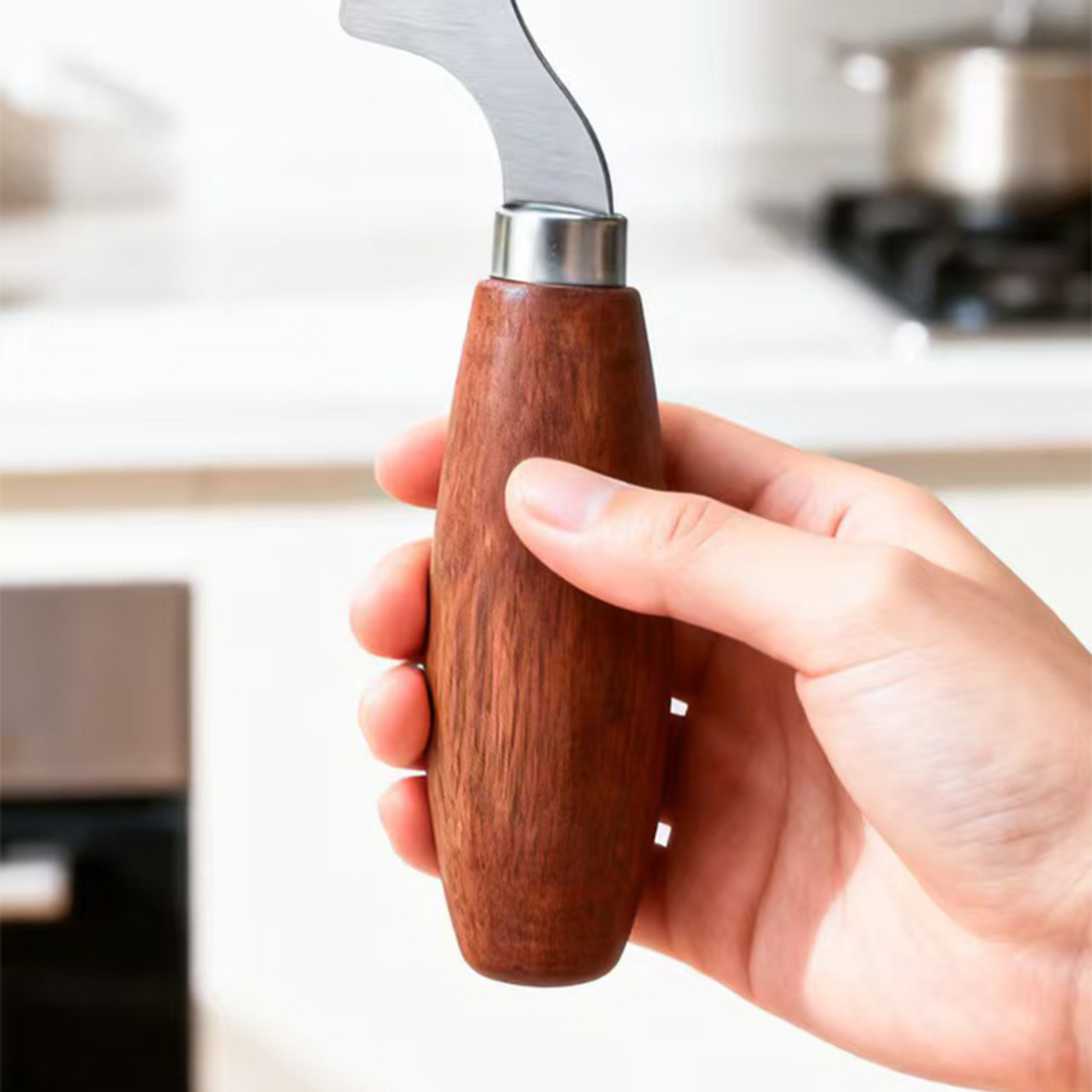 Stainless Steel Green Onion Sl - Kitchen Gadgets Green 评论和价格
